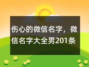 伤心的微信名字，微信名字大全男201条