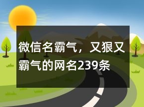 微信名霸气，又狠又霸气的网名239条