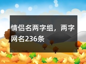 情侣名两字组，两字网名236条