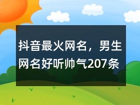 抖音最火网名，男生网名好听帅气207条