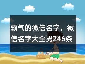 霸气的微信名字，微信名字大全男246条
