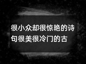 很小众却很惊艳的诗句很美很冷门的古诗句222条