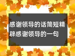 感谢领导的话简短精辟感谢领导的一句话暖心225条