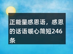 正能量感恩语，感恩的话语暖心简短246条