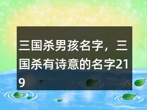 三国杀男孩名字，三国杀有诗意的名字219条