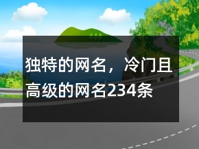 独特的网名，冷门且高级的网名234条