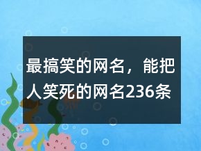 最搞笑的网名，能把人笑死的网名236条
