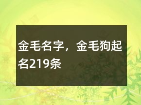 金毛名字，金毛狗起名219条