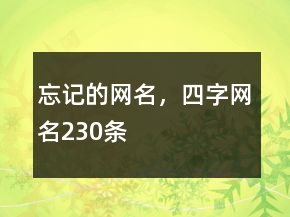 忘记的网名，四字网名230条