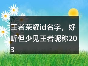 王者荣耀id名字，好听但少见王者昵称203条