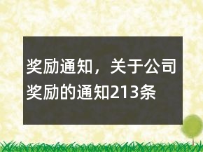 奖励通知，关于公司奖励的通知213条