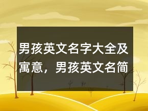 男孩英文名字大全及寓意，男孩英文名简单好听212条