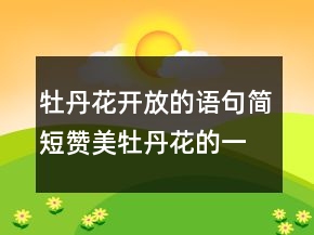 牡丹花开放的语句简短赞美牡丹花的一句话205条