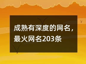 成熟有深度的网名，最火网名203条