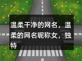 温柔干净的网名，温柔的网名昵称女，独特简单的网名244条