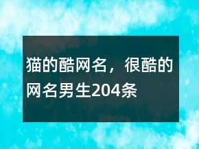 猫的酷网名，很酷的网名男生204条