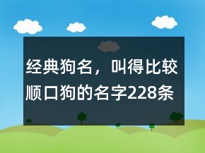 经典狗名，叫得比较顺口狗的名字228条