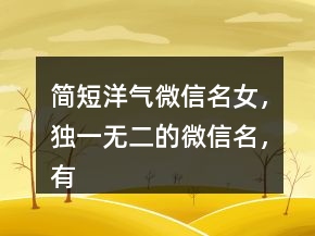 简短洋气微信名女，独一无二的微信名，有内涵的微信名212条