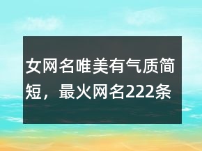 女网名唯美有气质简短，最火网名222条