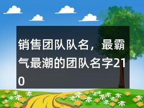 销售团队队名，最霸气最潮的团队名字210条