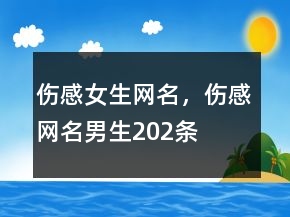 伤感女生网名，伤感网名男生202条