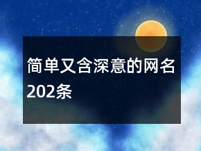 简单又含深意的网名202条