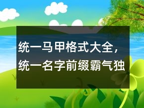 统一马甲格式大全，统一名字前缀霸气独特224条