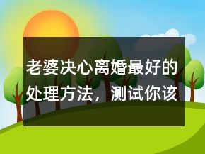 老婆决心离婚最好的处理方法，测试你该离婚吗250条