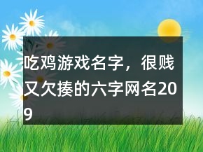 吃鸡游戏名字，很贱又欠揍的六字网名209条