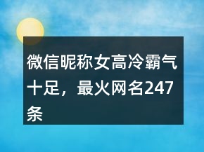 微信昵称女高冷霸气十足，最火网名247条