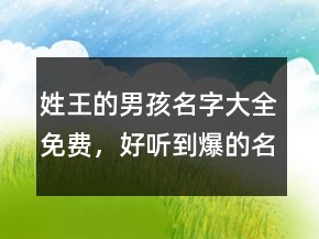 姓王的男孩名字大全免费，好听到爆的名字204条
