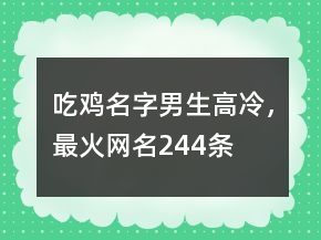 吃鸡名字男生高冷，最火网名244条