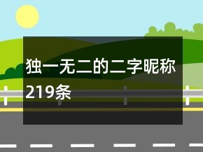 独一无二的二字昵称219条