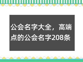 公会名字大全，高端点的公会名字208条