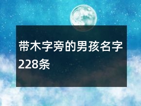 带木字旁的男孩名字228条