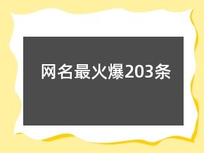 网名最火爆203条
