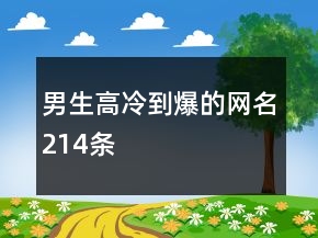 男生高冷到爆的网名214条