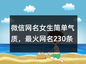 微信网名女生简单气质，最火网名230条