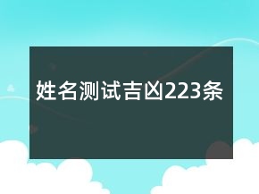 姓名测试吉凶223条