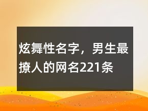 炫舞性名字，男生最撩人的网名221条