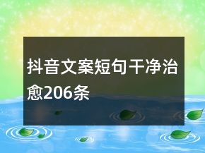 抖音文案短句干净治愈206条