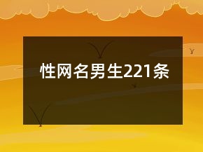 性网名男生221条