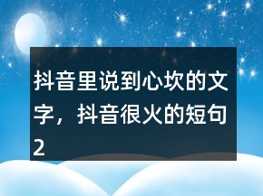 抖音里说到心坎的文字，抖音很火的短句206条