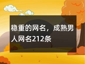 稳重的网名，成熟男人网名212条