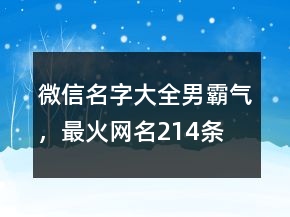 微信名字大全男霸气，最火网名214条