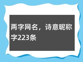 两字网名，诗意昵称字223条