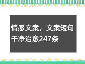 情感文案，文案短句干净治愈247条