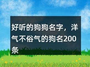 好听的狗狗名字，洋气不俗气的狗名200条