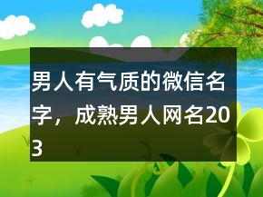 男人有气质的微信名字，成熟男人网名203条