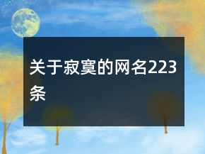关于寂寞的网名223条